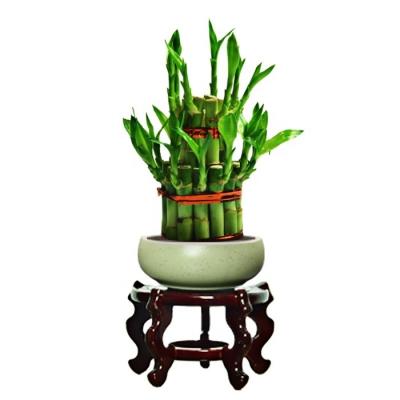 China Lucky Bamboo Wholesale Indoor Home Decoration Artificial Plant Two Tower Lucky Bamboo 2 Layers for sale