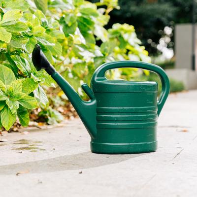 China Garden Skyagri Watering Can 3L 5L 8L 10L 12L 14L High Pcs OEM Agricultural Green Sprayer Garden Sprayer Blue Yellow Color Container for sale