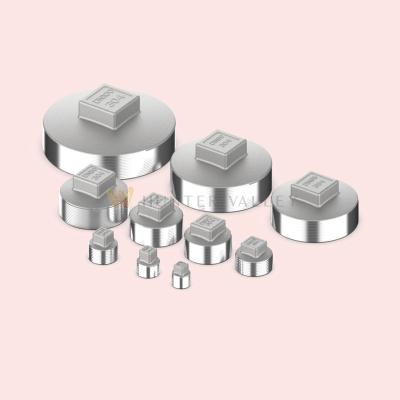 China 304#stainless Steel Casting Stainless Steele 304 316 Stainless Steel Threaded Pipe Cap Tube Casing Caps for sale