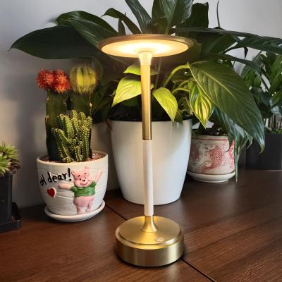 China Modern Cordless Battery Table Lamps Restaurant Modern Portable Desk Lamp Led Chargeable Night Lights New Design Bar Iron -30 - 80 50000 for sale