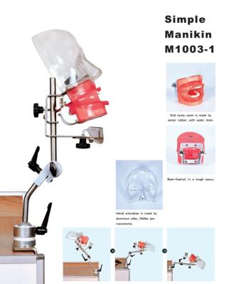 China Hospital Clinic University High Quality Advanced Dental Phantom Single Head Manikin With Spare Teeth for sale