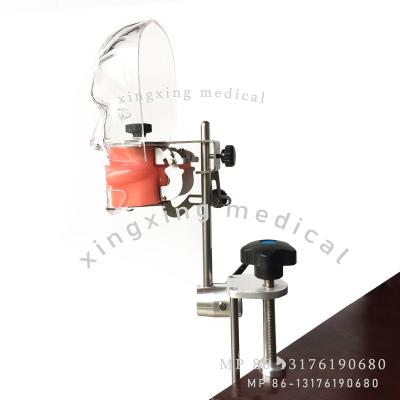 China Hospital Clinic University High Quality Advanced Dental Phantom Single Head Manikin With Spare Teeth for sale