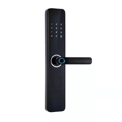 China Apartment Alarm Lock Fingerprint Anti-theft Lock Special Hot Sale Keyless Waterproof Anti-theft Lock for sale