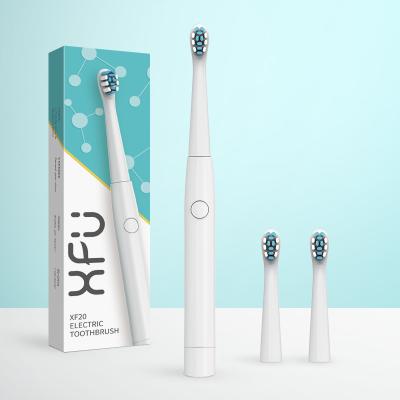 China SEAGO 2020 NEW Battery Powered Wholesale Slim Sonic Electric Toothbrush SG-549 for sale