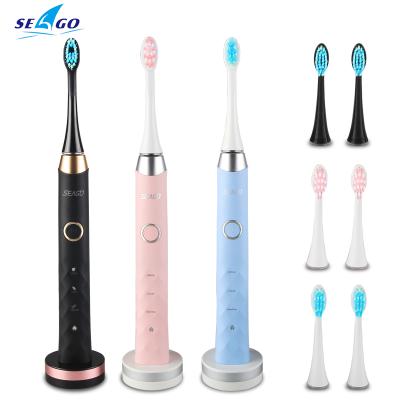 China SEAGO rechargeable top wholesale Rechargeable Electric model Sonic Toothbrush from manufacturer SG987 for sale