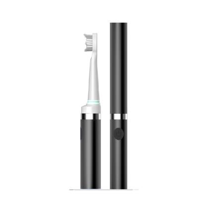 China Cheap Dupont Battery Operated Electric Toothbrush Travel Electric Toothbrush Sonic Vibration For Adult SEAGO&POP for sale