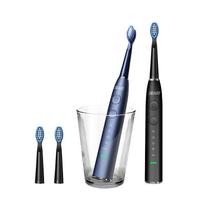 China SEAGO SG-575 Sonic Car Big Battery Electric Toothbrush For Teeth Whitening for sale