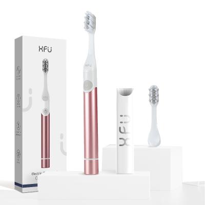 China Seago Battery Operated SG2102 Sonic Adult Electric Automatic Toothbrush Battery Operated for sale