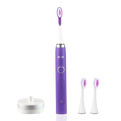 China SEAGO rechargeable ready to ship SG986 High quality rechargeable electric Sonic Toothbrush for sale