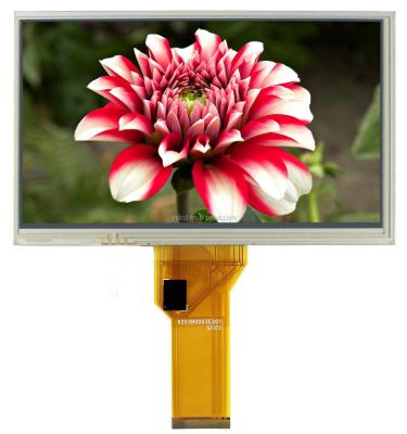 Cina Pin a 7 pollici anabbaglianti di RGB 800x480 50 dell'esposizione di LCD di colore di FPC TFT 250 pidocchi in vendita