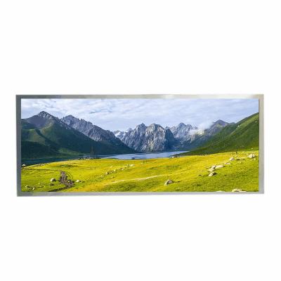 China HannStar 12,3“ TFT IPS LCD 1920x720 850nits WLED LVDS 50pins zu verkaufen