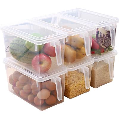 China Freshness Preservation Refrigerator Storage Box Egg Fruit Storage Box Food Grade Kitchen Transparent Vegetable Freezer Box for sale