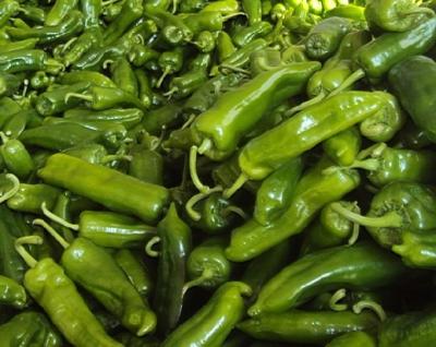 China PRESERVED pickled green pepper - 1kg for sale