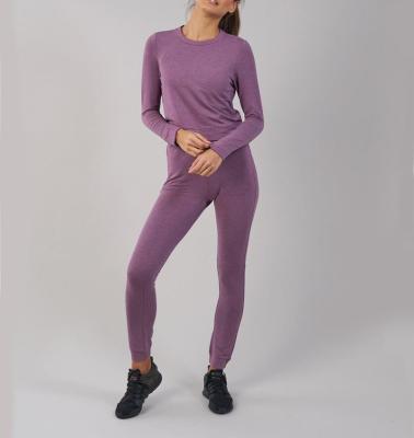 China Wholesale 2022 Antibacterial Women Running Set Workout Gym Clothes Long Sleeve Fitness Yoga Sets For Women for sale