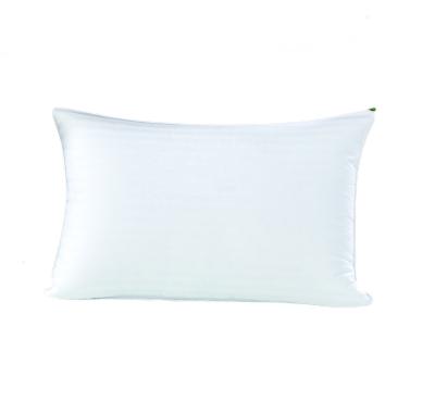 China Simple Luxury Plush Soft Bed Pillows For Home + Hotel Collection With Cotton Cove - Queen Size for sale