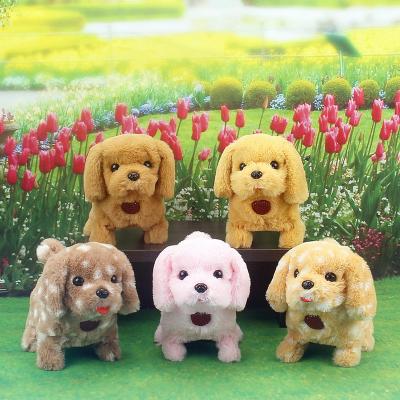 China Make a healthy factory direct sale tiantianwang electric glowing dog toy dog ​​pamper soft children plush interesting dog 3 batteries for sale