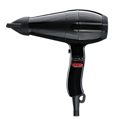 China 2400W Ceramic Ionic High Quality Professional Ionic Hair Dryer for sale