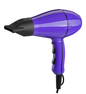 China Professional Ionic Hair Dryer Salon for sale