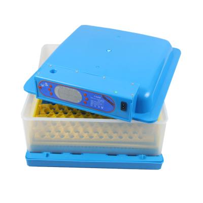 China Automatic Automatic Chicken Egg Incubator Hatching Machine 48 Egg Incubator Chicken Egg Incubator for sale