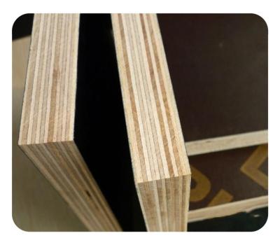 China Modern Twice Hot Press Black / Brown Concrete Formwork Film Faced Construction Plywood Cheap Price for sale