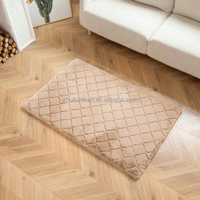 China Stain Resistant China Factory Wholesale Super Soft Rug Rectangle Soft Floor Blanket Fashion Design Imitation Rabbit Hairy Carpet for sale