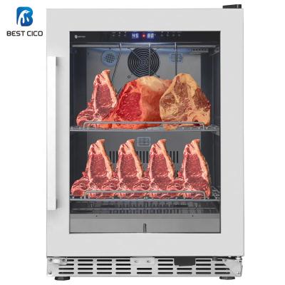 China Single-temperature CICO smaller size dry steak agers aging refrigerator for home use at aged beef DA-150AS for sale