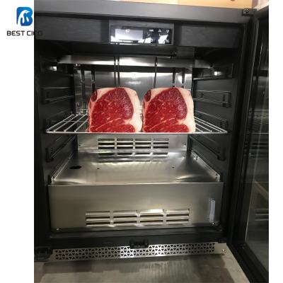 China COMPRESSOR China Manufacturer Stainless Steel Dry Aging Product Meat Aging Refrigerator DA-127A for sale