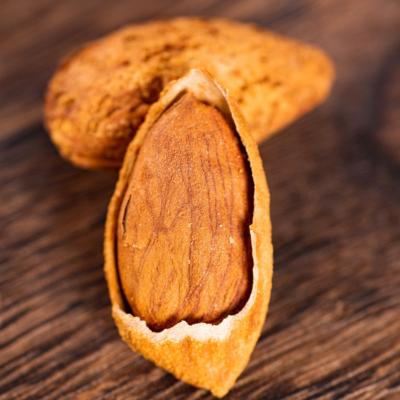 China Wholesale Price Dry Bulk Badam Nut In Shell Nuts Organic Badam Roasted Almond Kernel for sale