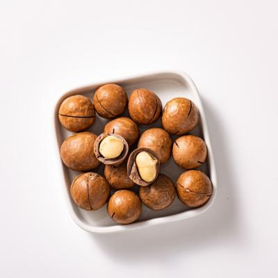 China Grade Wholesalers Australia Hazel Dried Top High Quality Australian Hazelnut for sale