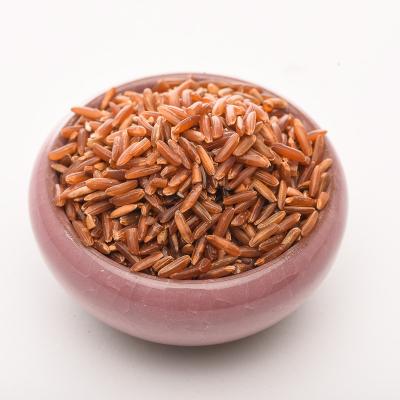 China No Roughness Health Products Agriculture Addition 99% Hot Sale Food Supplement Long Grain Red Rice for sale