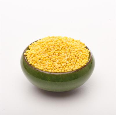 China Addition Agricultural Product Does Not Export Hot Sale Vacuum Packing 1Kg/Bag Yellow Millet For Sale for sale