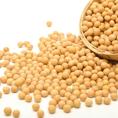 China No Addition Factory Wholesale Non GMO Soybeans Organic Soy Top Grade Yellow Soybeans With High Protein for sale