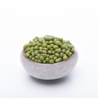 China No Addition To 4.0mm/4.5mm Size 1Kg/Bag Current Fast Shipping Packing Vacuum Export Green Mung Beans for sale