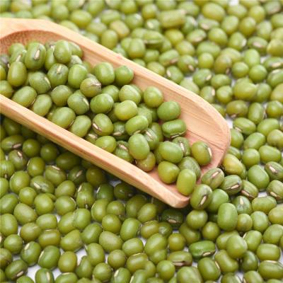 China No Addition Factory Price Small Mung Bean Vacuum Packing Export Green mung beans for sale