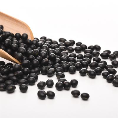 China No Addition High Quality Black Soybeans With For Bulk Bag 25kg Sample Black Bean Wholesale Price for sale