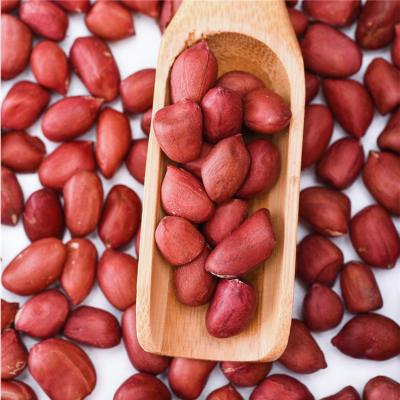 China Addition safety industrial agricultural product does not wholesale size 8.5% high quality moisture 5am grade red skin peanut for sale