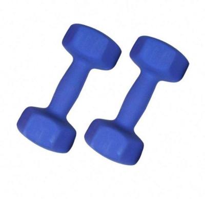 China Colored Dumbbell Bodybuilding Cast Neoprene Dumbbells Rubber Covered Or Vinyl Coated Cast Dumbbell for sale