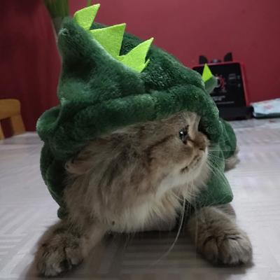 China Funny Pet Viable Halloween Cat Clothes For Warm Dinosaur Cat Dog Costume Jumpsuit Clothing Kitten Hooded Coat Jacket Winter Fleece Cats for sale