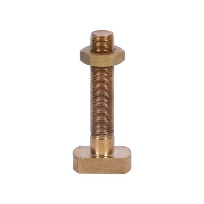 China High Hardness Non-standard Fastener Combination Manufacturer Brass Hammer Head T Head Bolt With Nut for sale