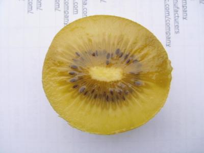 China supplying Jin Yan golden kiwi seedlings yellow kiwi seedlings golden kiwi fruit for sale