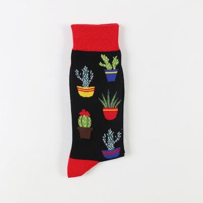 China 2019 Wholesale Nice Notely Colorful Funny Bamboo Crew Cactus Socks For Men for sale