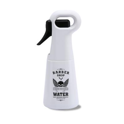 China Garden Spray Bottle Fine Mist Sprayer Continuous Spray Water Bottle for Hair Styling, Plants, Cleaning, Misting-300ml for sale