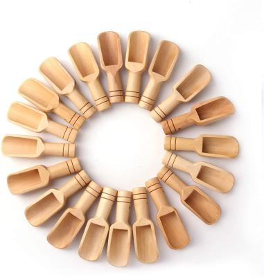 China Viable Wooden Mini Spoons Wooden Bath Salt Candy Spoon Washing Powder Spoon Set for sale