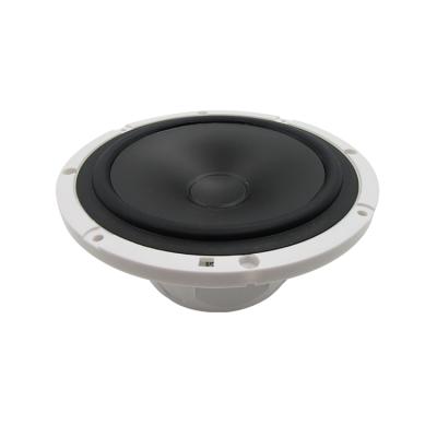 China Mini Wholesale Marine Speaker 30w Wakeboard Speaker 6.5