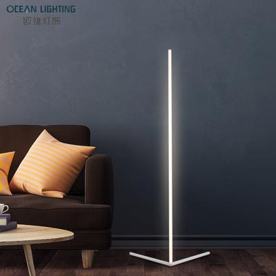 China Nordic High Quality Modern Home Standing Decor Floor Lighting Stair Corner Living Room Modern Design LED Floor Lamp for sale