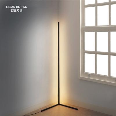 China Simple Design Simple Indoor Smart Lighting Corner Led Decorative Floor Lamp Light Fixture RGB Floor Lights for sale