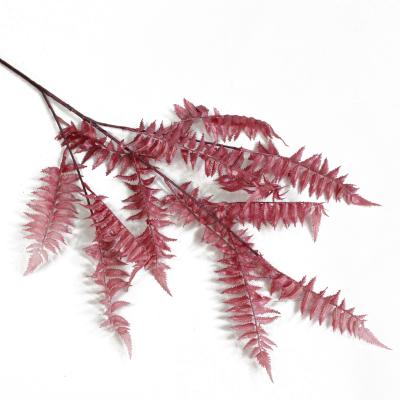 China High Quality Natural Decoration Plants Artificial Pteris Plant Leaves Real Dry Flower For Flower Arranging for sale