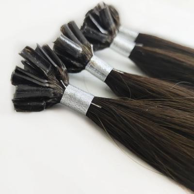 China Factory Wholesale Silky Straight Double Drawn Human Hair Italian Tip Keratin U Tip Hair Extensions for sale