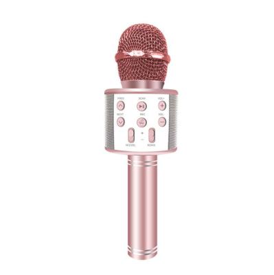 China Portable Microphone Handheld Mobile Phone Bring Their Own Karaoke Radio WS858 Audio Cable Microphone For Party KTV Music Singing Home Play for sale