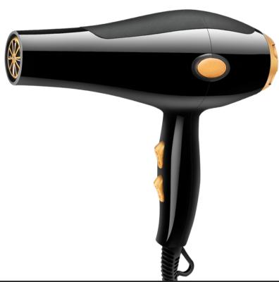 China Factory Made Hot Sale Ionic Hair Salon Professional Hairdressing Dryer Professional Hair Dryer for sale